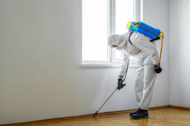 Best Residential Pest Control  in Silver Firs, WA