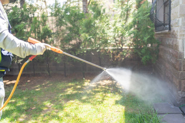 Best Exterminator Services  in Silver Firs, WA